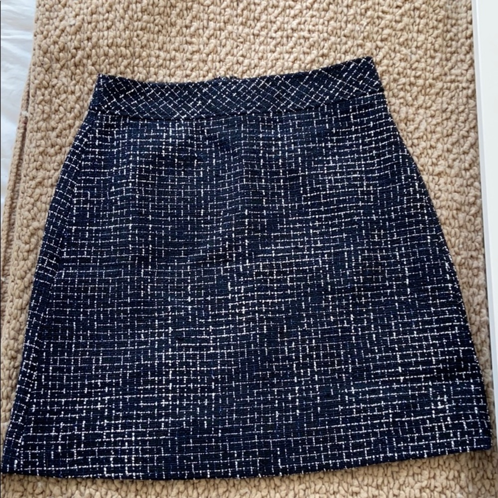 J.Crew Skirt